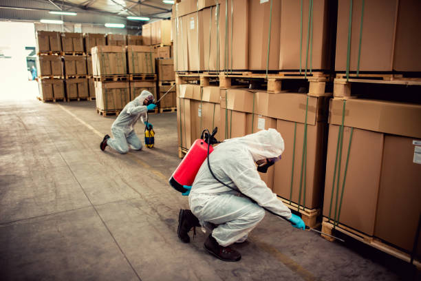 Best Pest Removal Services  in Medina, TN