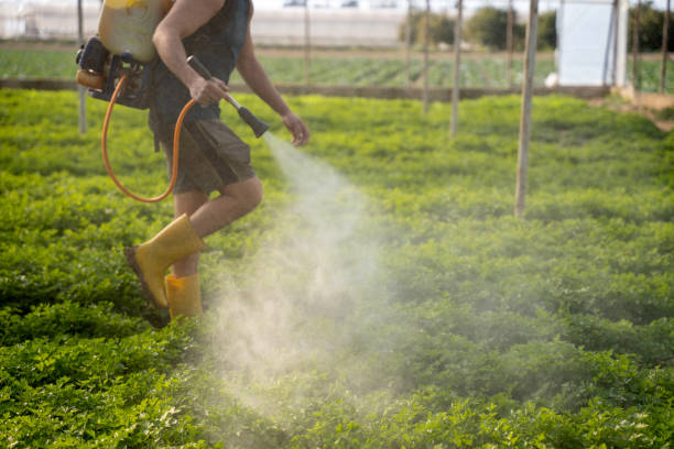 Best Affordable Pest Control Services  in Medina, TN