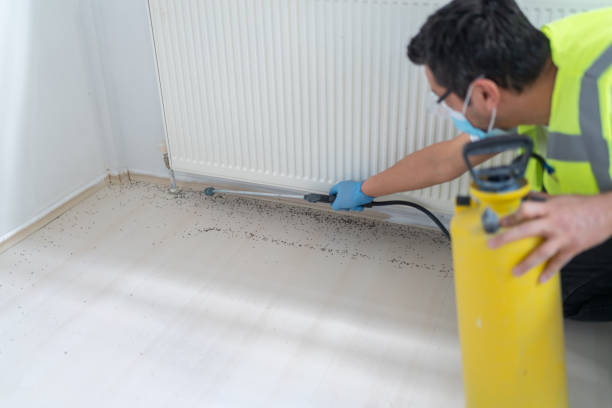 Best Best Pest Control Companies  in Medina, TN