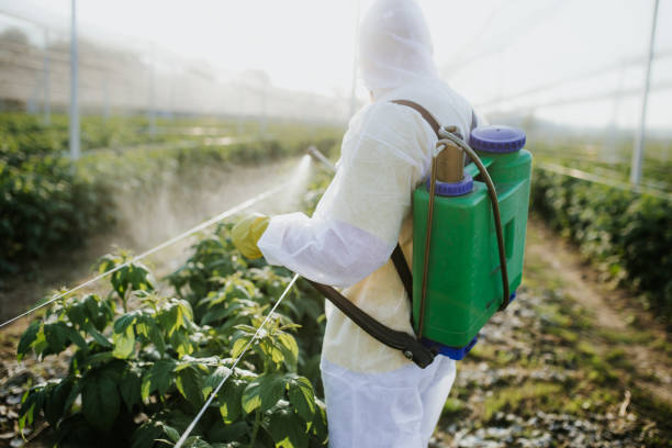 Best Bed Bug Extermination  in Medina, TN